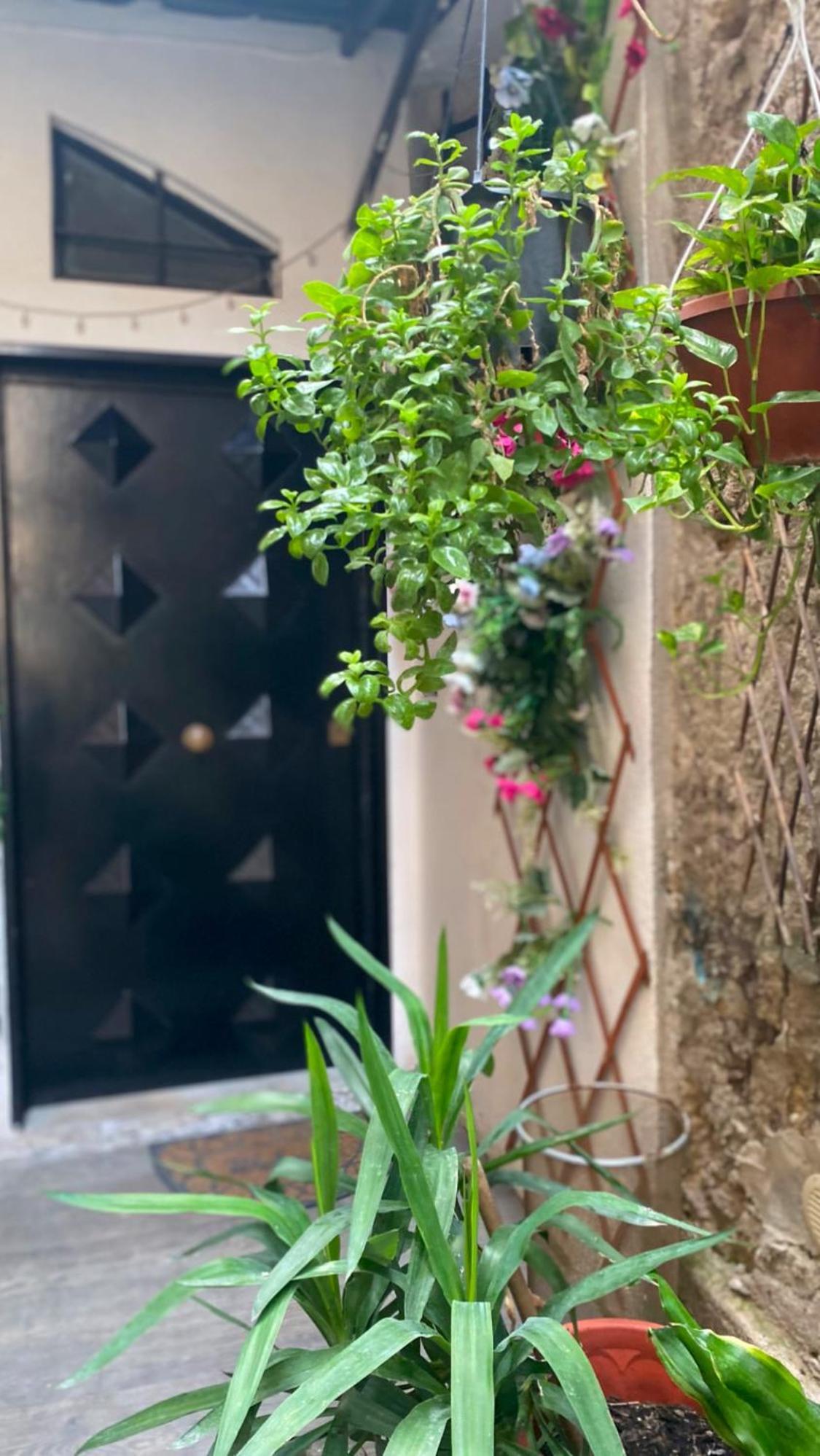 Il Vicoletto Hotel Napoli Bagian luar foto